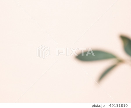 自然 フル 葉 49151810