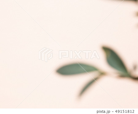 自然 フル 葉 49151812