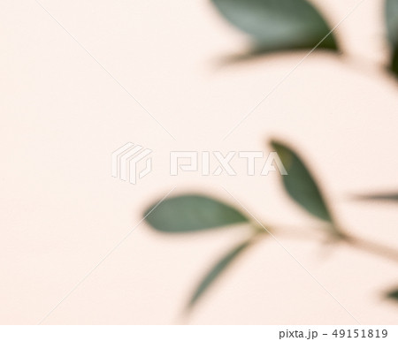 自然 フル 葉 49151819