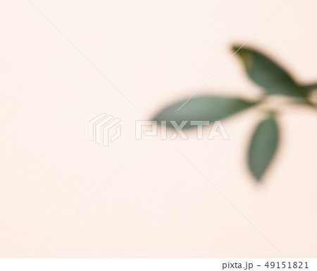 自然 フル 葉 49151821