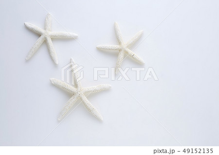 star fish on white background 49152135