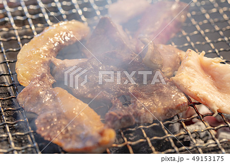 焼鳥・焼肉_おひとりさまの炭火焼き(炭焼き・網焼き・七輪・一人・宅飲み・バーベキュー・BBQ・焼肉 焼鳥・焼肉_おひとりさまの炭火焼き(炭焼き・網焼き・七輪・一人・宅飲み・バーベキュー・BBQ・焼肉 49153175