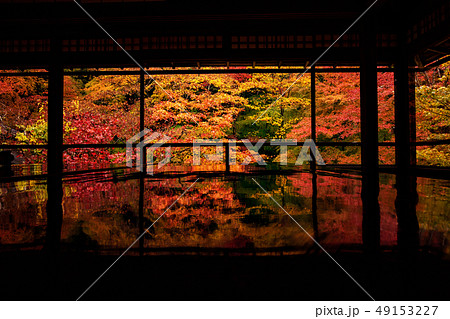 瑠璃光院　リフレクション 49153227