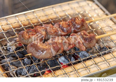 焼鳥・焼肉_おひとりさまの炭火焼き（炭焼き・網焼き・七輪・一人・宅飲み・バーベキュー・BBQ・焼肉 49153239