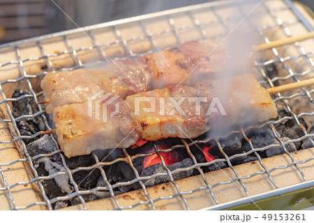 焼鳥・焼肉_おひとりさまの炭火焼き(炭焼き・網焼き・七輪・一人・宅飲み・バーベキュー・BBQ・焼肉 焼鳥・焼肉_おひとりさまの炭火焼き(炭焼き・網焼き・七輪・一人・宅飲み・バーベキュー・BBQ・焼肉 49153261