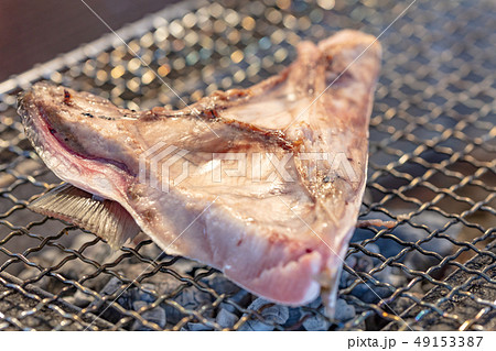 ぶりかま_おひとりさまの炭火焼き(炭焼き・網焼き・七輪・一人・宅飲み・バーベキュー・BBQ・焼肉 ぶりかま_おひとりさまの炭火焼き(炭焼き・網焼き・七輪・一人・宅飲み・バーベキュー・BBQ・焼肉 49153387