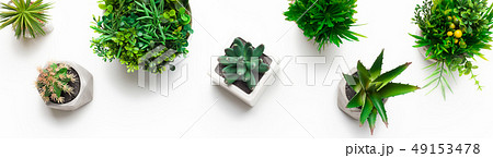 Various artificial evergreen plants in pots, top view Various artificial evergreen plants in pots, top view 49153478