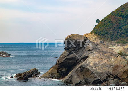 沼島 アミダバエ 沼島 アミダバエ 49158822