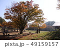 秋の公園 49159157