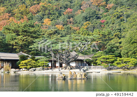 南湖・仙磯(せんぎ)(栗林公園/香川県高松市) 南湖・仙磯(せんぎ)(栗林公園/香川県高松市) 49159442