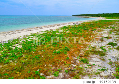 竹富島 アイヤル浜の写真素材