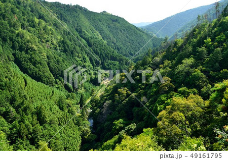 京都：高雄　錦雲渓　かわらけ投げより 49161795