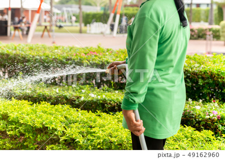 Gardener woman watering plant with hose in the garden. Gardener woman watering plant with hose in the garden. 49162960