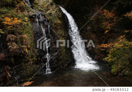 紅葉の銀山温泉・白銀の滝 49163312