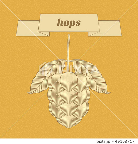 ビール 生ビール 生中 49163717