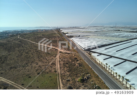 Lot of polythene hothouses 49163909