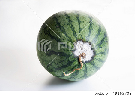 Whole watermelon with mold 49165708