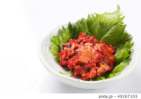 チャンジャー 49167103