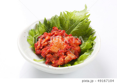 チャンジャーの写真素材