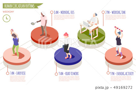 Human Circadian Rhythms Isometric Infographics Human Circadian Rhythms Isometric Infographics 49169272