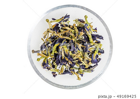 青いハーブティー Herbal tea of the world 青いハーブティー Herbal tea of the world 49169425