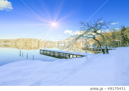 Beautiful fresh snow in winter  49170431