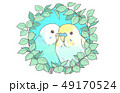 ラブインコ２ 49170524
