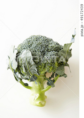 ブロッコリー 49172439