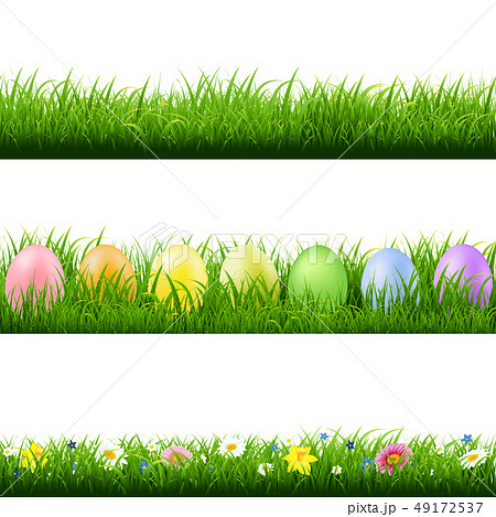 Green Grass Borders Collection White Background Green Grass Borders Collection White Background 49172537