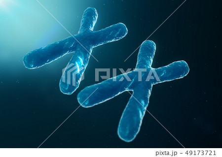 XX-Chromosomes with DNA carrying the genetic code. Genetics concept, medicine concept. Future 49173721