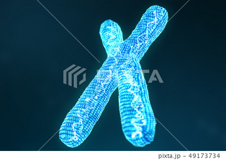 X digital, artificial chromosomes with DNA carrying the genetic code. Genetics concept, artificial X digital, artificial chromosomes with DNA carrying the genetic code. Genetics concept, artificial 49173734