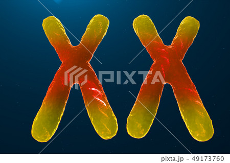 Infection of XX-Chromosomes DNA, virus or infection penetrates the body. Female chromosomes Infection of XX-Chromosomes DNA, virus or infection penetrates the body. Female chromosomes 49173760