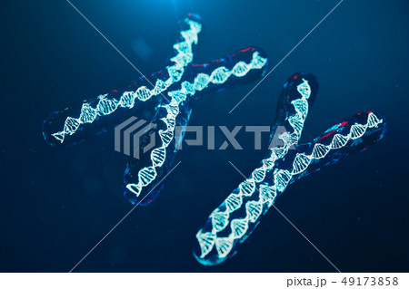 XY-Chromosomes with DNA carrying the genetic code. Genetics concept, medicine concept. Future XY-Chromosomes with DNA carrying the genetic code. Genetics concept, medicine concept. Future 49173858
