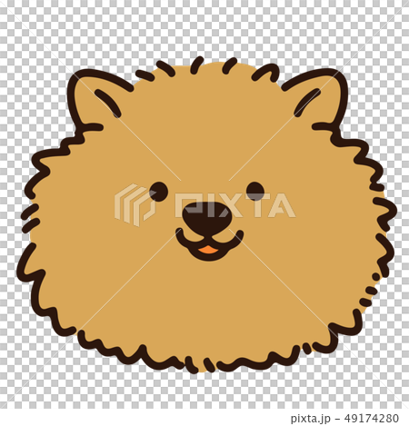 シンプルで可愛い笑顔のポメラニアンの顔のイラスト 主線ありのイラスト素材