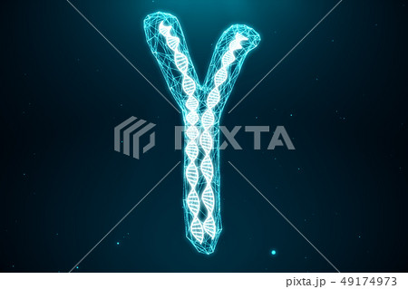 Polygonal Low poly 3D Rendering Digital Artificial Chromosomes Consisting Of Consisting Dots And 49174973