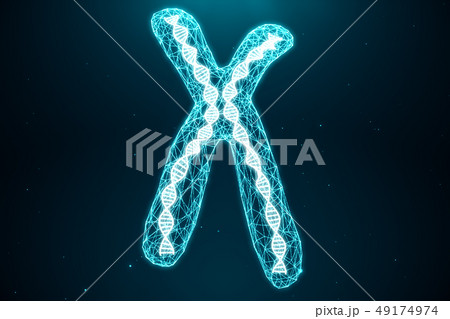 Polygonal Low poly 3D Rendering Digital Artificial Chromosomes Consisting Of Consisting Dots And 49174974