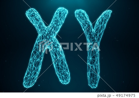 3D Illustration Polygonal Low poly Digital Artificial XY-Chromosomes Consisting Of Consisting Dots 3D Illustration Polygonal Low poly Digital Artificial XY-Chromosomes Consisting Of Consisting Dots 49174975