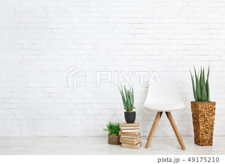 Indoor plants and chair on white background Indoor plants and chair on white background 49175210