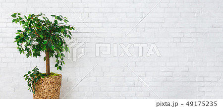 Home garden concept 49175235