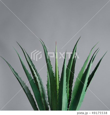 Green life concept Green life concept 49175538