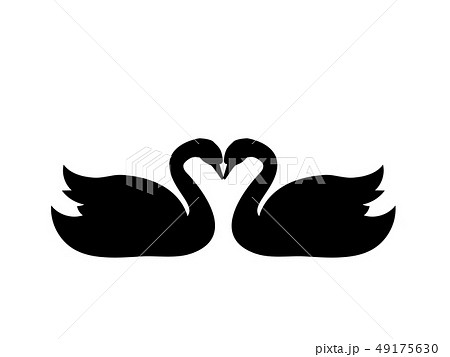 Swans love bird black silhouette animal.  49175630