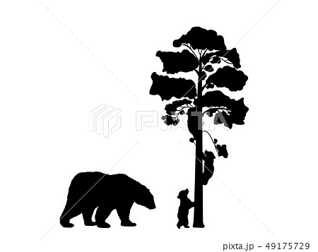 Two bear cubs climbing tree black silhouette animals 49175729