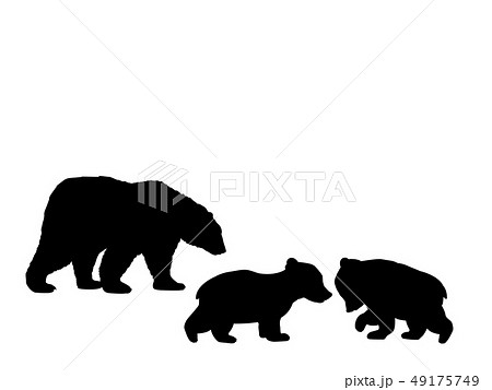 Bear family two bear cubs black silhouette animals Bear family two bear cubs black silhouette animals 49175749