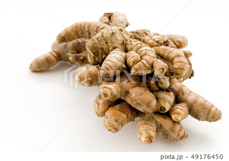 春ウコン 49176450