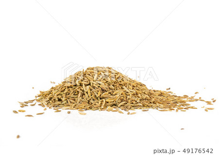 Roman caraway cumin isolated on white 49176542