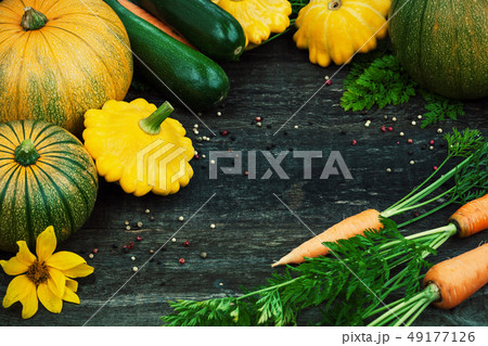 Fresh organic gardening vegetables Fresh organic gardening vegetables 49177126
