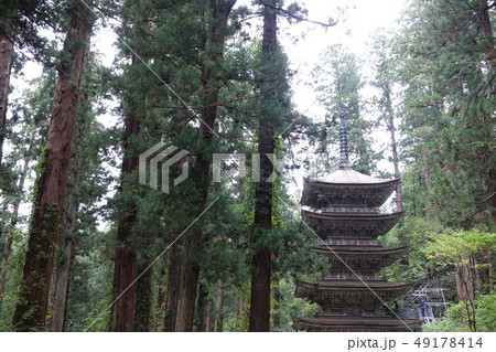 羽黒山 五重塔 49178414