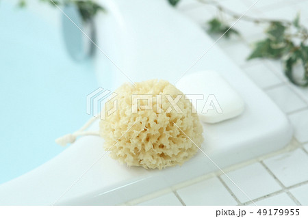 お風呂用品 お風呂用品 49179955