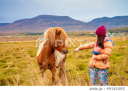 A women tourist playing with Icelandic horse A women tourist playing with Icelandic horse 49181003
