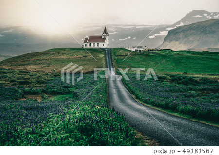 Ingjaldsholl church in Iceland and lupine flowers Ingjaldsholl church in Iceland and lupine flowers 49181567